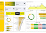 create and automate professional power bi dashboards